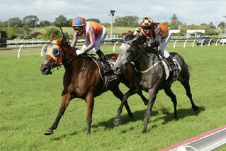 Melody Belle (NZ) claiming the G1 Bonecrusher Stakes at Ellerslie on Saturday. Photo Cred: Trish Dunell